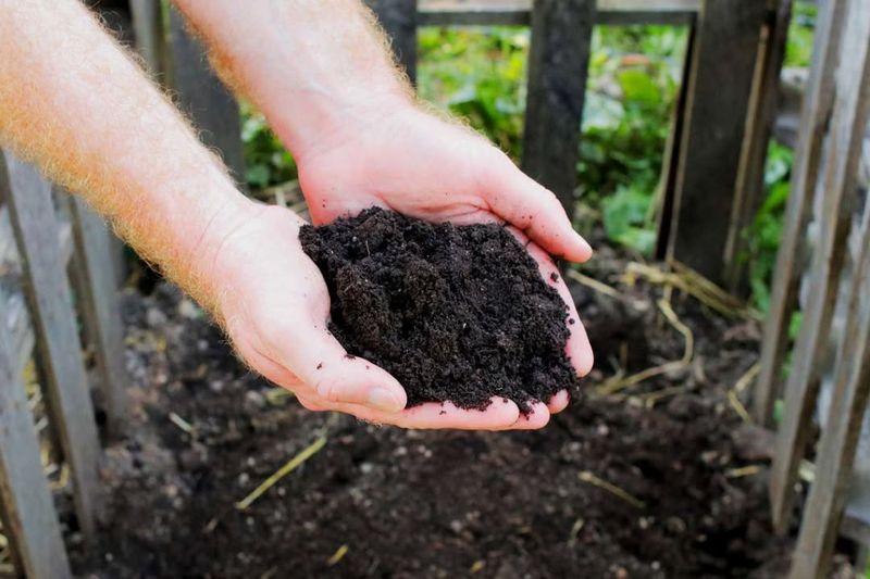Prepare And Improve Soil Early