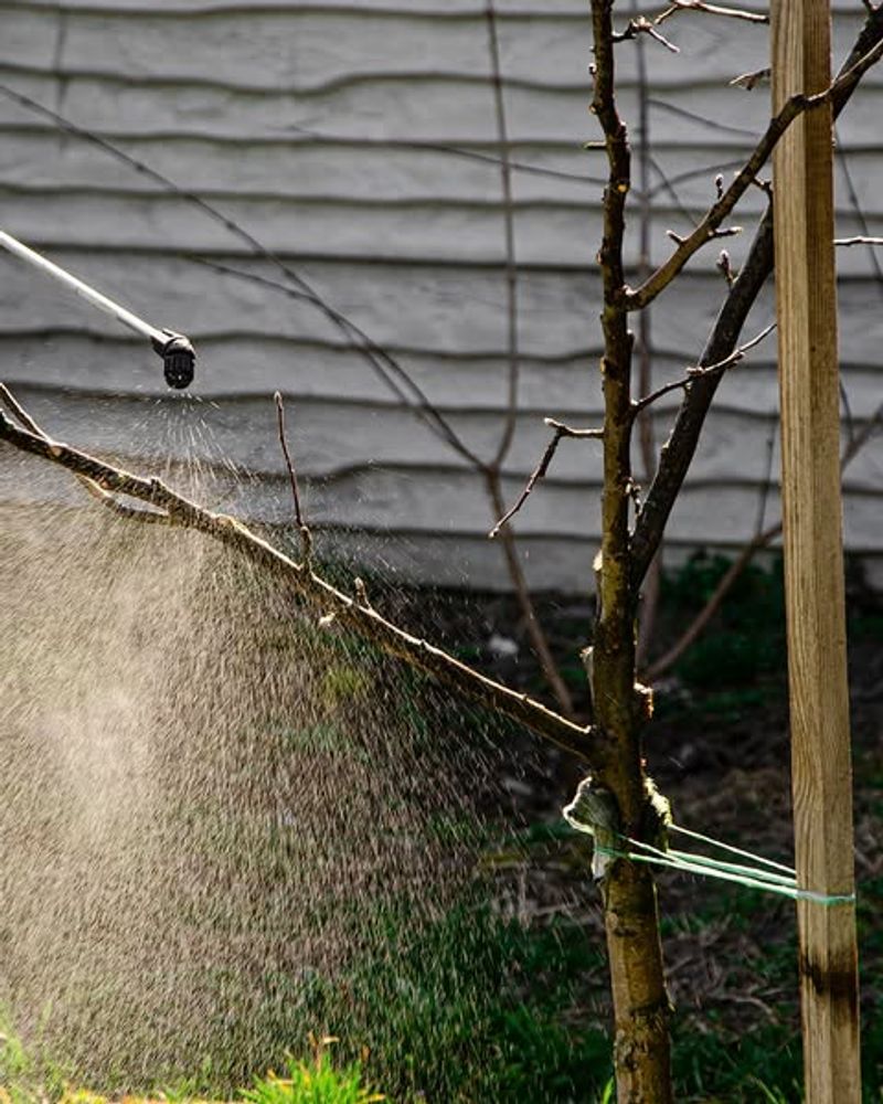 Apply Dormant Sprays To Fruit Trees