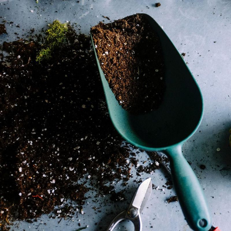 Use Well-Draining Soil