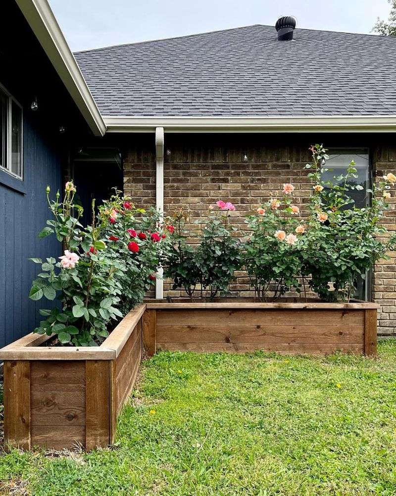 Use Raised Flower Beds To Protect Plants From Busy Feet