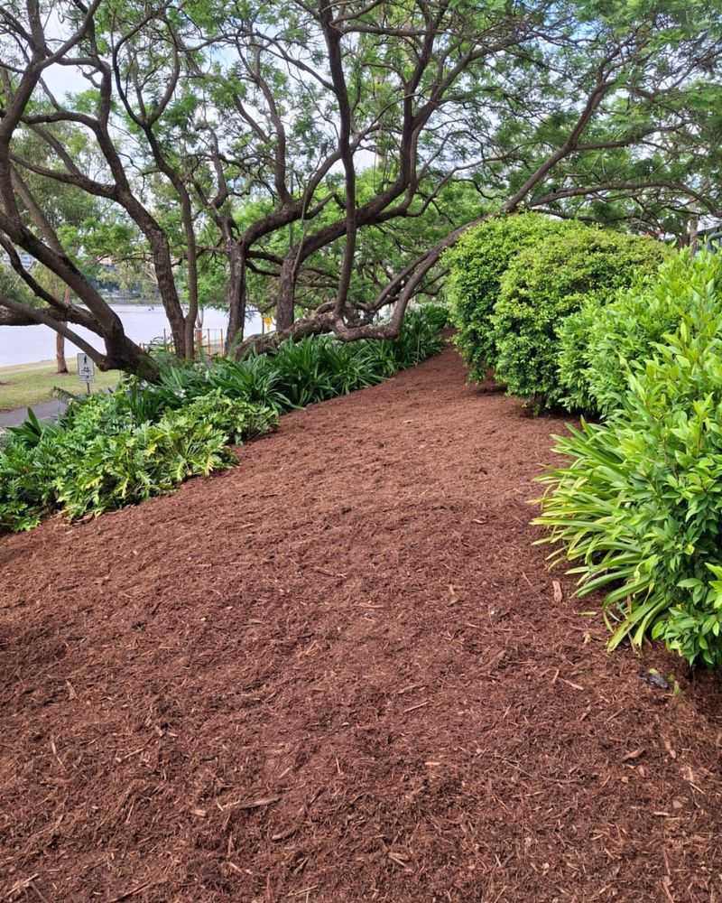 Check Soil And Refresh Mulch