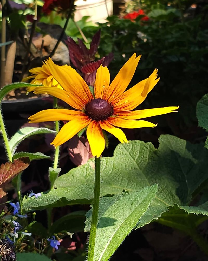 Layer Your Bloom Times Strategically