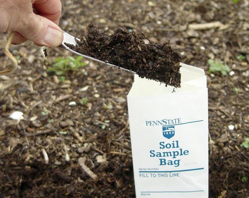 Test Your Soil Before You Feed Your Plants