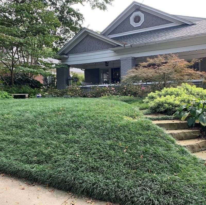 Replace Thirsty Turf Areas With Low-Water Groundcovers