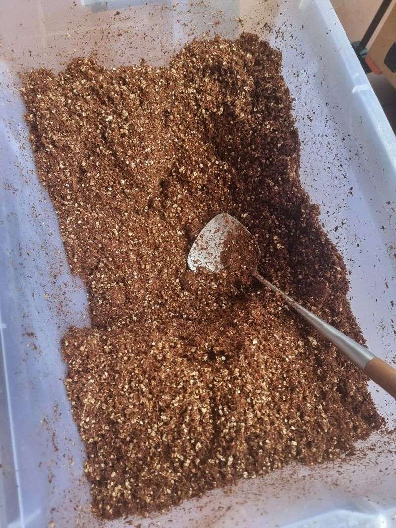 Use The Best Substrate For Strong Growth