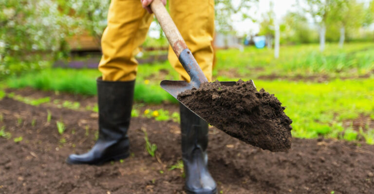 Starting Your First Garden In Pennsylvania? Here’s What You Should Know Before You Dig In