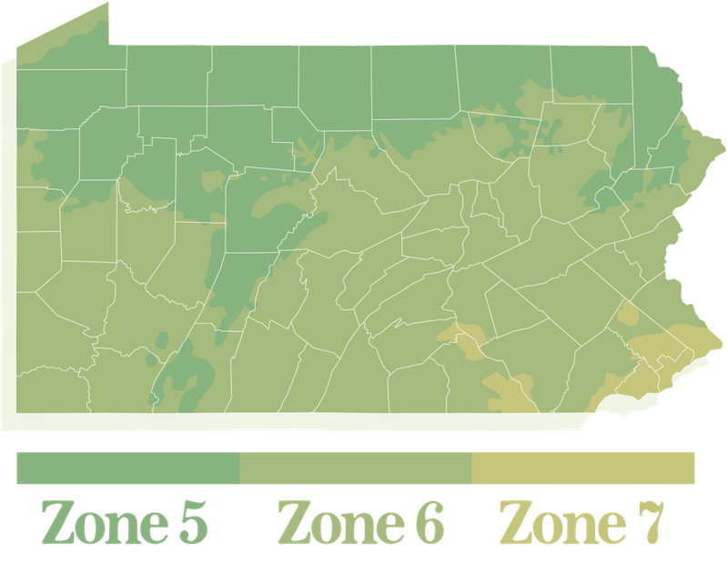 Know Your Pennsylvania Hardiness Zone Before You Shop For Plants