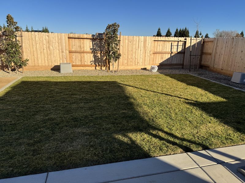 Skip Early Fertilizing