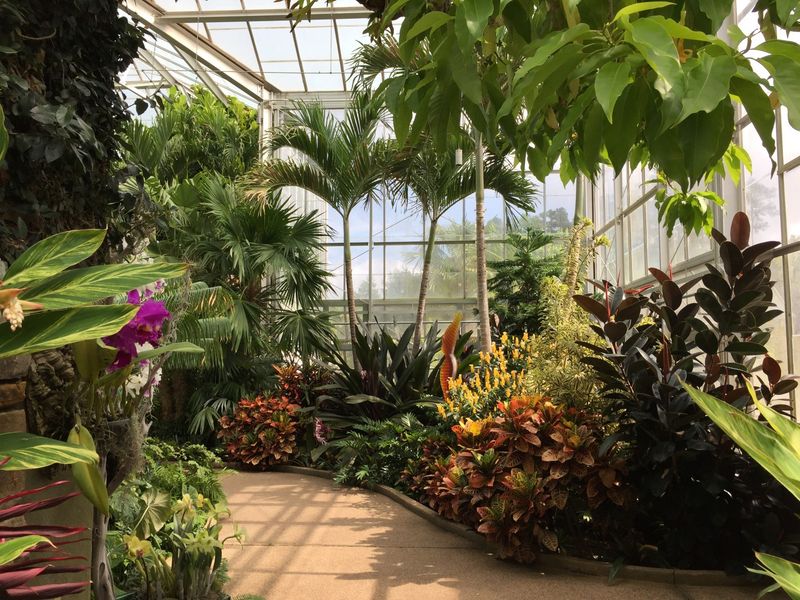 Enjoy Scenic Views Along The Natural Beauty Of Lake Wylie