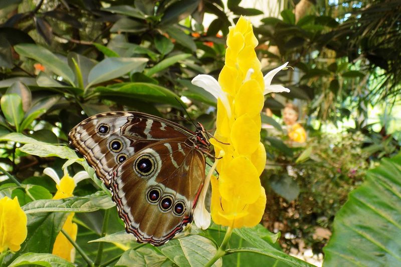 A Tropical Paradise You Can Visit Any Time Of Year