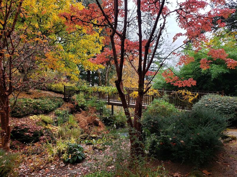 Seasonal Color In Every Direction