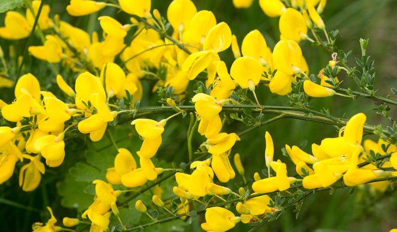 Don't Let It Come Back Stronger