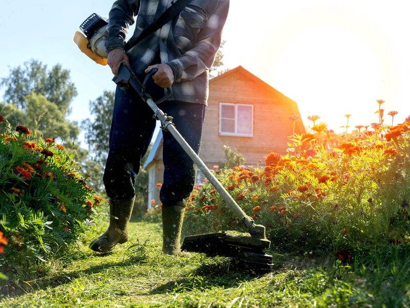 Neglecting Lawn And Garden Maintenance