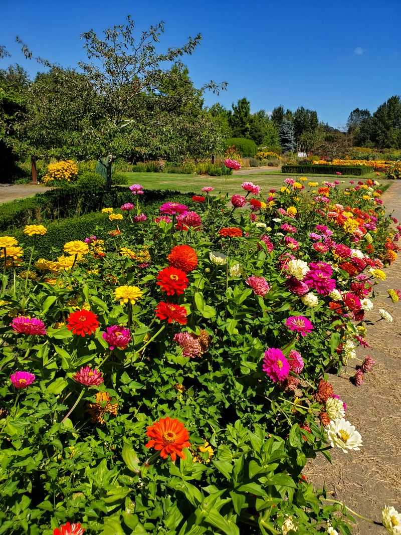 Seasonal Color All Year Long