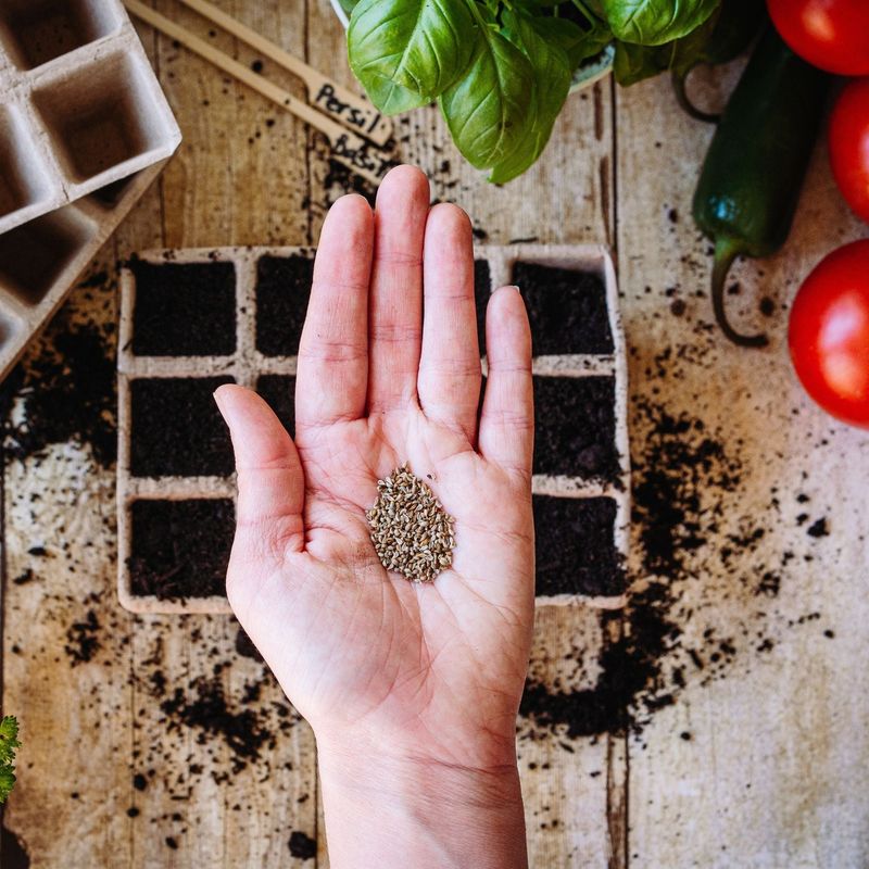 Keeping Rare And Heirloom Varieties Alive