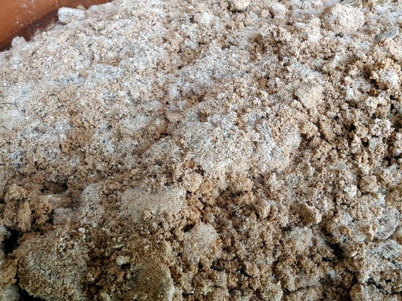 Infrequent Deep Watering Reduces Salt Buildup In Desert Soil