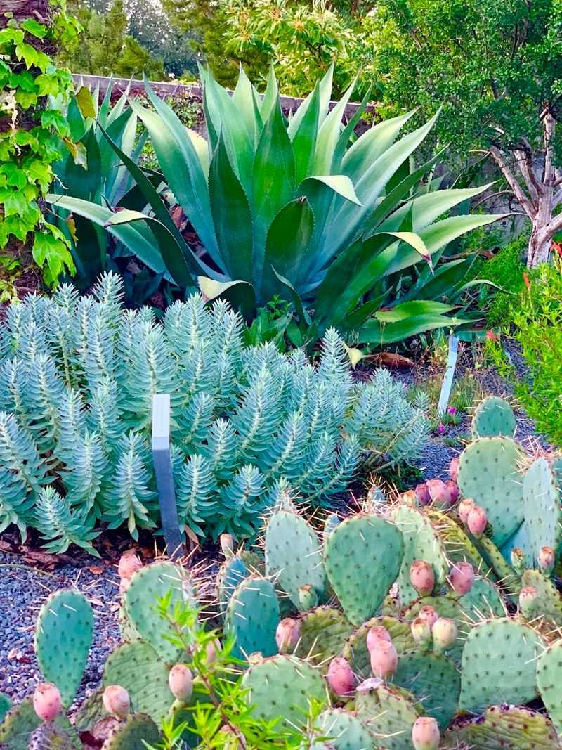 A World Of Rare And Unusual Plants Up Close