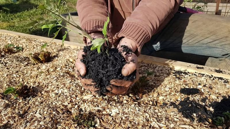 Biochar Improves Soil Structure Over Time
