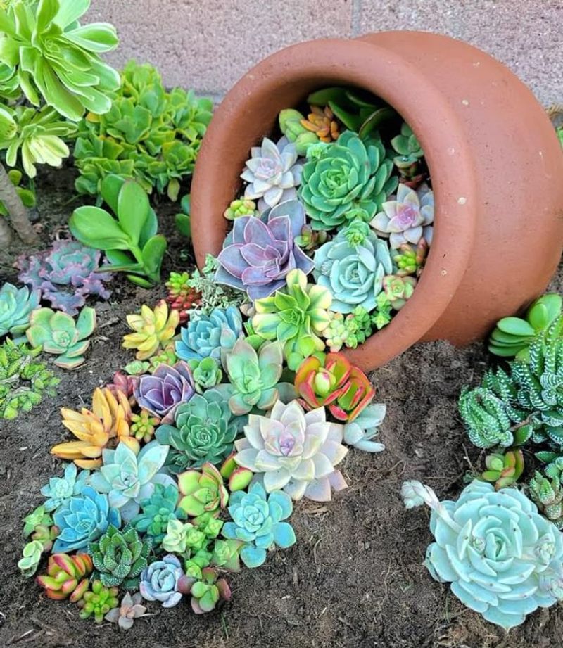 Effortless Succulent Cascade