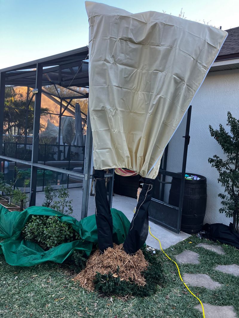 Prepare Before The Next Frost Hits