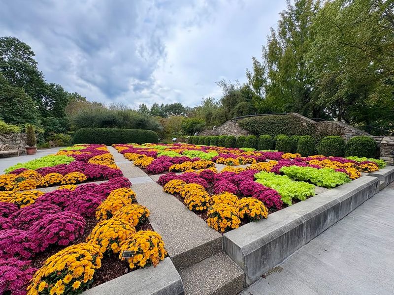 Seasonal Plant Displays Highlight Resilient Flora