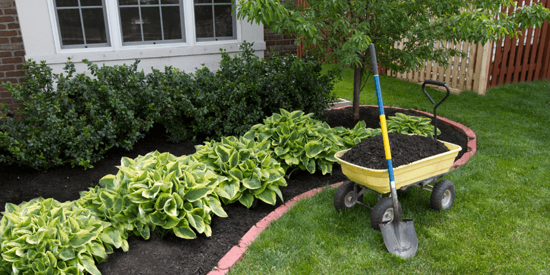 Improve Sandy Soil With Fresh Organic Mulch