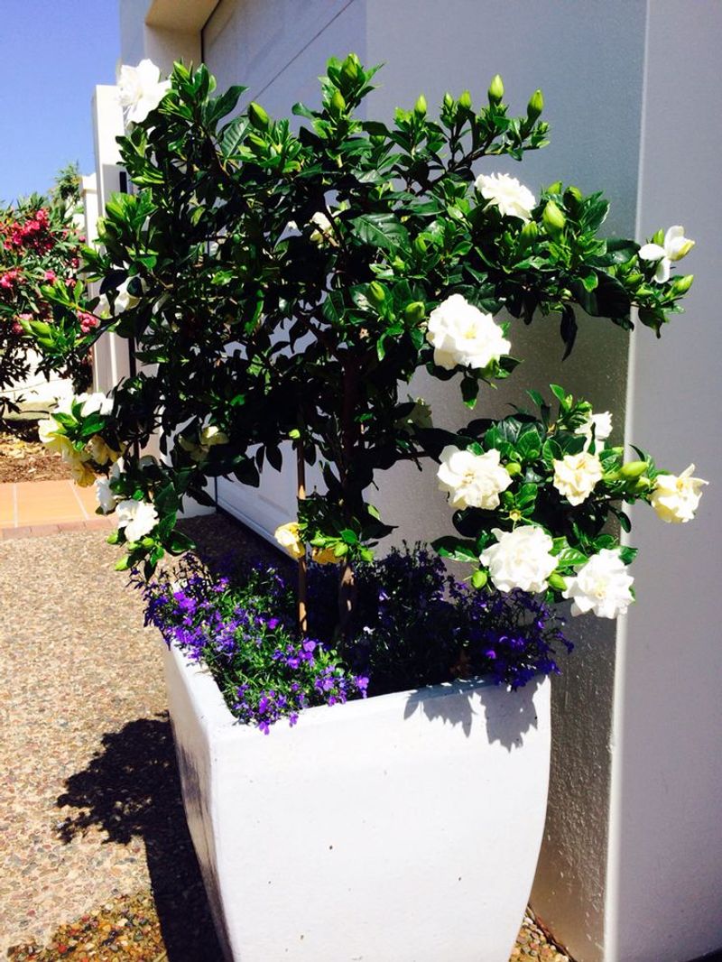 A Welcoming Touch Guests Always Notice