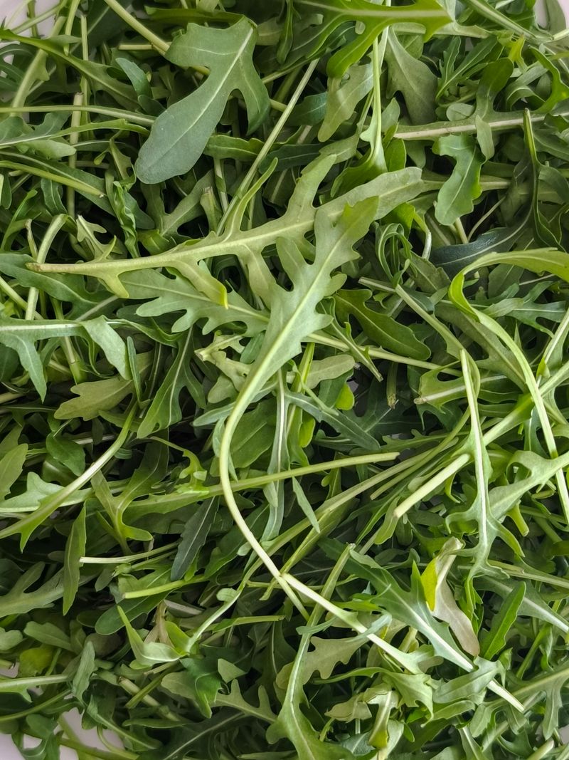 Arugula