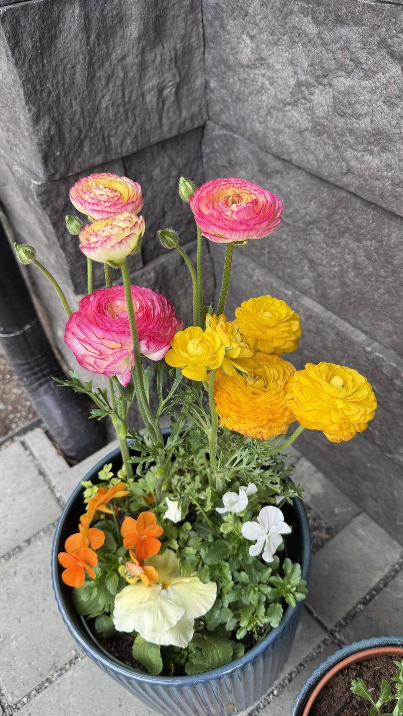 Shield Containers From Harsh Afternoon Sun