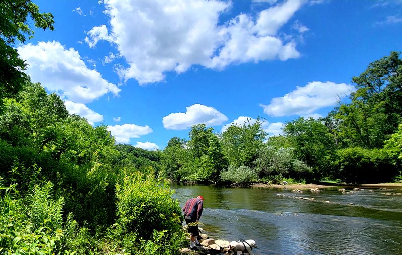 Observe Diverse Natural Habitats Along The Huron River