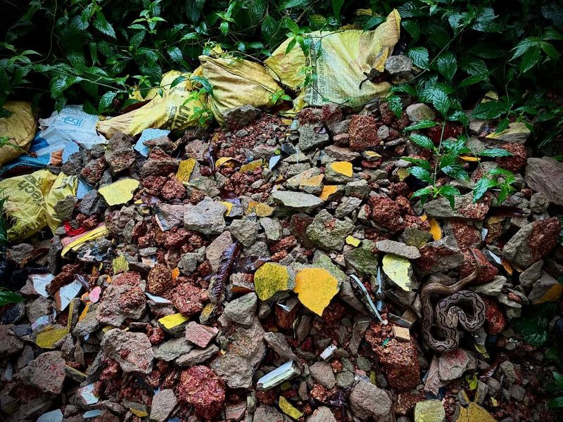 Rocks, Logs, Or Debris Piles