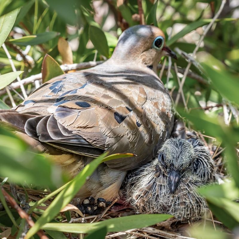 Quiet Corners With Minimal Disturbance