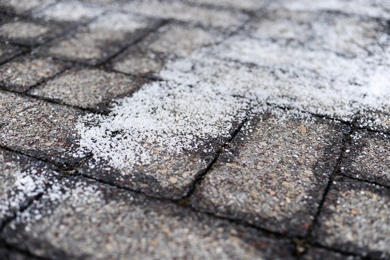 Salt Damage From Roads And Sidewalks