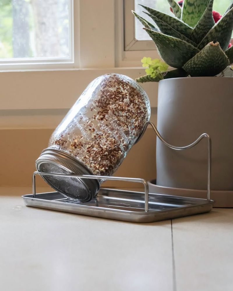 Countertop Sprout Garden