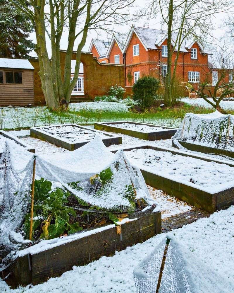 Monitor Soil Temperature Trends, Not Just Snow Cover