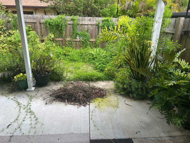 Clean Up Without Overdoing It