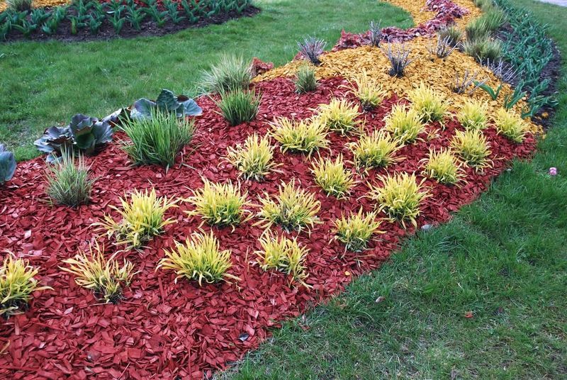 Dyed Mulch Disrupts Healthy Garden Soil