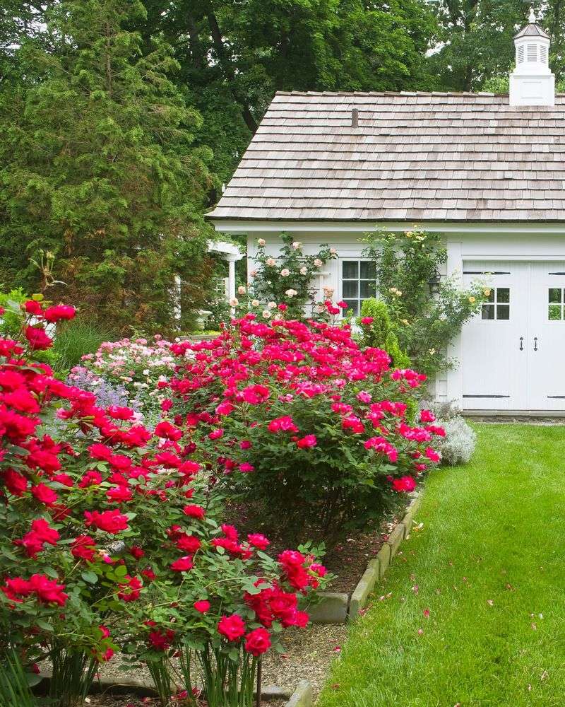 Always Match Plants To Georgia's Heat And Humidity