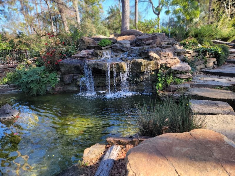 Wildlife, Pollinators, And The Garden Coming Alive