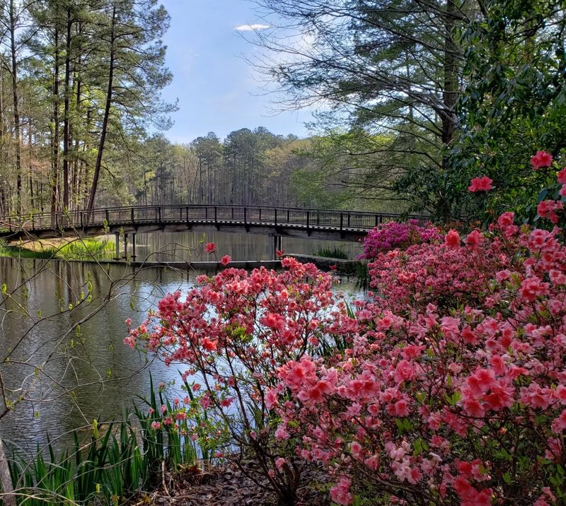 Callaway Gardens Offers Waves Of Azaleas And Spring Color