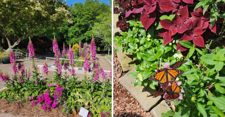 The Best Places To See Spring Flowers On A Georgia Road Trip