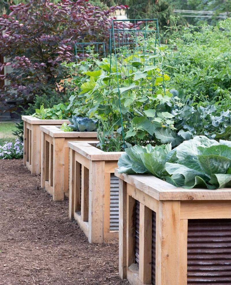 Position Beds To Capture Morning Sun And Avoid Harsh Afternoon Exposure