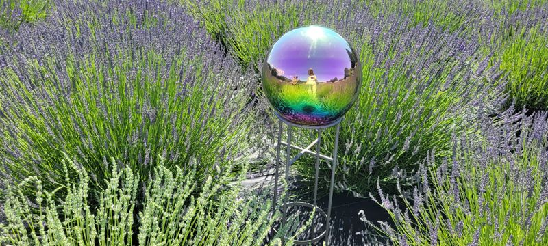 It's More Than Flowers