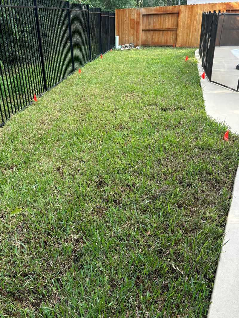 DO NOT Water Too Frequently!