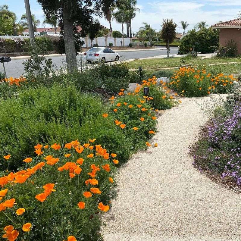 From Hillsides To Backyards