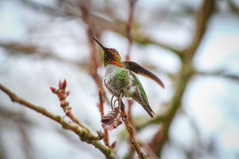 Why Migration Isn't Always Necessary