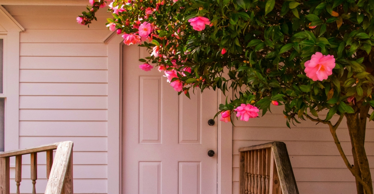 camelia front door