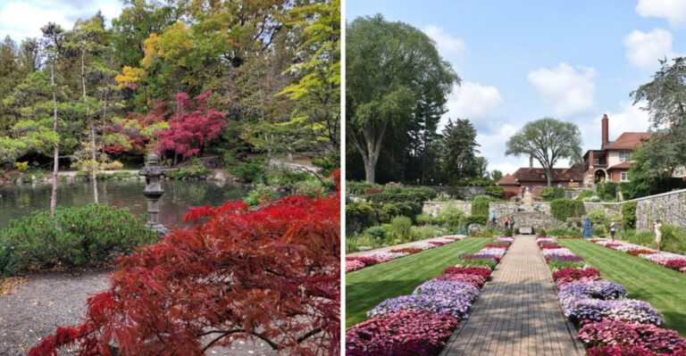 The Gorgeous Michigan Botanical Garden Most People Have Never Heard Of
