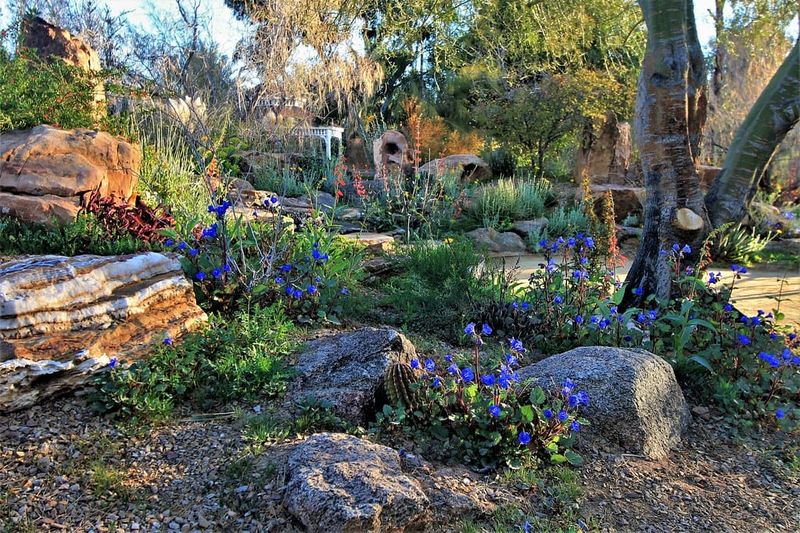 Check Microclimates Around Your Yard