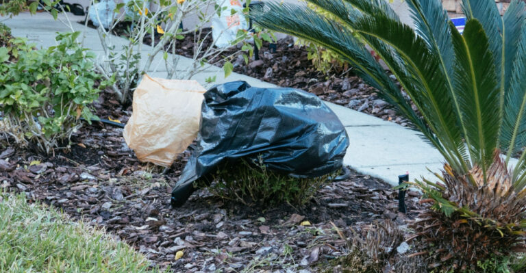 Plant covering to protect from frost